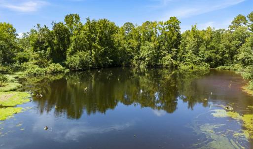 Photo #27 of 1569 DAVE PLOWDEN POND RD, Manning, SC 1,986.0 acres