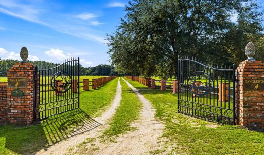 Photo #6 of 1569 DAVE PLOWDEN POND RD, Manning, SC 1,986.0 acres