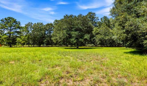 Photo #43 of 1569 DAVE PLOWDEN POND RD, Manning, SC 1,986.0 acres
