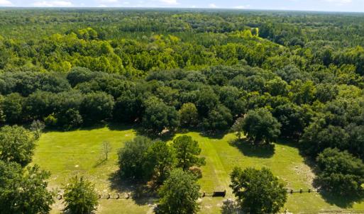 Photo #49 of 1569 DAVE PLOWDEN POND RD, Manning, SC 1,986.0 acres