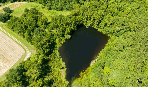 Photo #26 of 1569 DAVE PLOWDEN POND RD, Manning, SC 1,986.0 acres