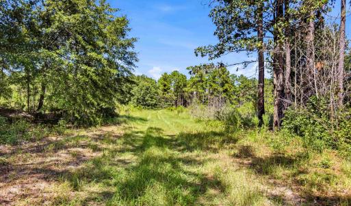 Photo #46 of 1569 DAVE PLOWDEN POND RD, Manning, SC 1,986.0 acres
