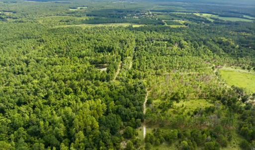 Photo #42 of 1569 DAVE PLOWDEN POND RD, Manning, SC 1,986.0 acres