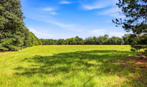 Photo #73 of 1569 DAVE PLOWDEN POND RD, Manning, SC 1,986.0 acres