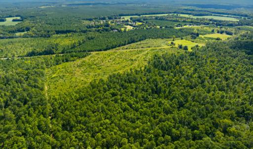 Photo #38 of 1569 DAVE PLOWDEN POND RD, Manning, SC 1,986.0 acres