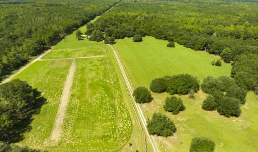 Photo #50 of 1569 DAVE PLOWDEN POND RD, Manning, SC 1,986.0 acres