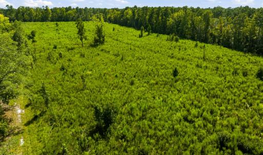 Photo #35 of 1569 DAVE PLOWDEN POND RD, Manning, SC 1,986.0 acres