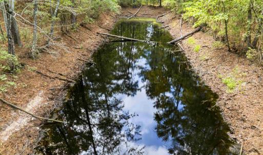 Photo #40 of 1569 DAVE PLOWDEN POND RD, Manning, SC 1,986.0 acres