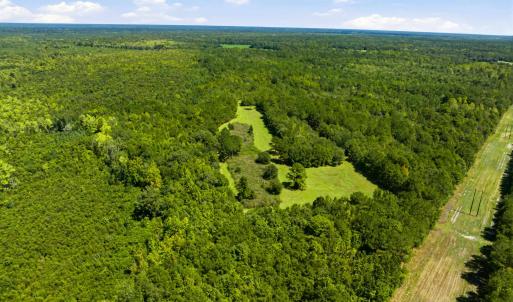 Photo #18 of 1569 DAVE PLOWDEN POND RD, Manning, SC 1,986.0 acres