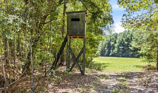 Photo #10 of 1569 DAVE PLOWDEN POND RD, Manning, SC 1,986.0 acres