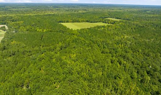 Photo #25 of 1569 DAVE PLOWDEN POND RD, Manning, SC 1,986.0 acres