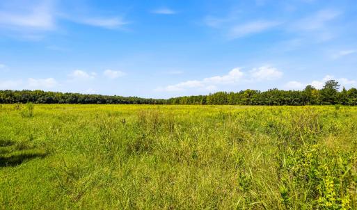 Photo #70 of 1569 DAVE PLOWDEN POND RD, Manning, SC 1,986.0 acres