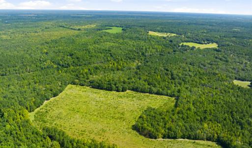 Photo #22 of 1569 DAVE PLOWDEN POND RD, Manning, SC 1,986.0 acres
