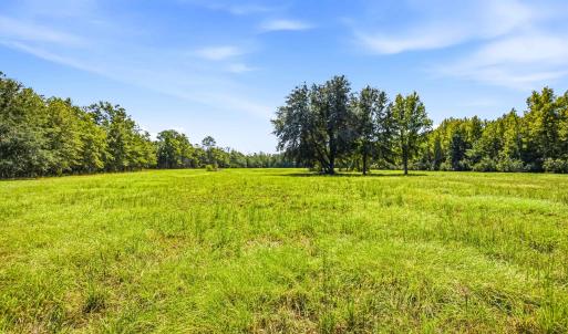 Photo #69 of 1569 DAVE PLOWDEN POND RD, Manning, SC 1,986.0 acres