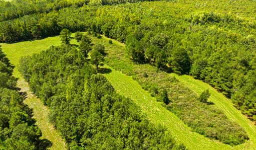 Photo #15 of 1569 DAVE PLOWDEN POND RD, Manning, SC 1,986.0 acres