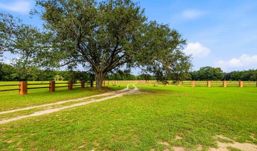 Photo #47 of 1569 DAVE PLOWDEN POND RD, Manning, SC 1,986.0 acres