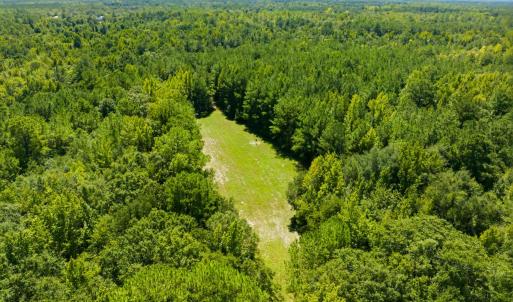 Photo #29 of 1569 DAVE PLOWDEN POND RD, Manning, SC 1,986.0 acres