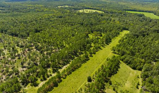 Photo #32 of 1569 DAVE PLOWDEN POND RD, Manning, SC 1,986.0 acres