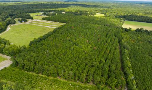 Photo #39 of 1569 DAVE PLOWDEN POND RD, Manning, SC 1,986.0 acres
