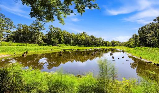 Photo #74 of 1569 DAVE PLOWDEN POND RD, Manning, SC 1,986.0 acres
