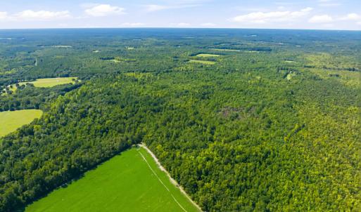 Photo #21 of 1569 DAVE PLOWDEN POND RD, Manning, SC 1,986.0 acres