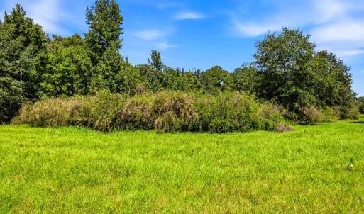 Photo #16 of 1569 DAVE PLOWDEN POND RD, Manning, SC 1,986.0 acres