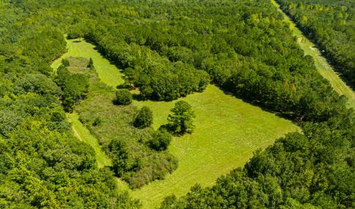 Photo #17 of 1569 DAVE PLOWDEN POND RD, Manning, SC 1,986.0 acres