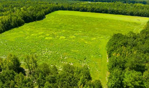 Photo #24 of 1569 DAVE PLOWDEN POND RD, Manning, SC 1,986.0 acres