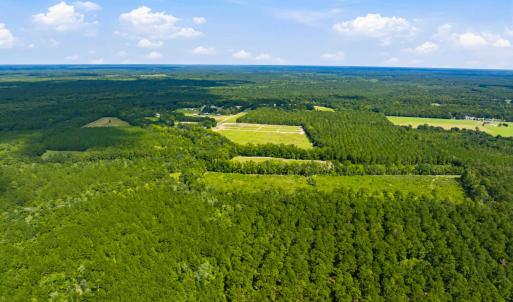 Photo #36 of 1569 DAVE PLOWDEN POND RD, Manning, SC 1,986.0 acres
