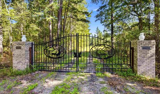Photo #7 of 1569 DAVE PLOWDEN POND RD, Manning, SC 1,986.0 acres