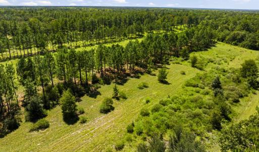Photo #30 of 1569 DAVE PLOWDEN POND RD, Manning, SC 1,986.0 acres