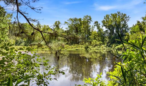 Photo #13 of 1569 DAVE PLOWDEN POND RD, Manning, SC 1,986.0 acres