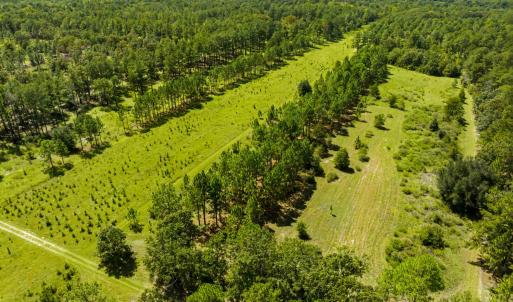 Photo #31 of 1569 DAVE PLOWDEN POND RD, Manning, SC 1,986.0 acres