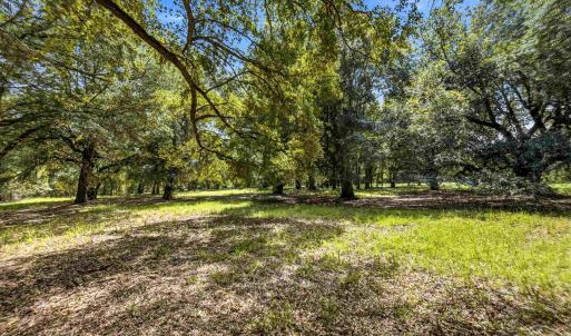 Photo #44 of 1569 DAVE PLOWDEN POND RD, Manning, SC 1,986.0 acres