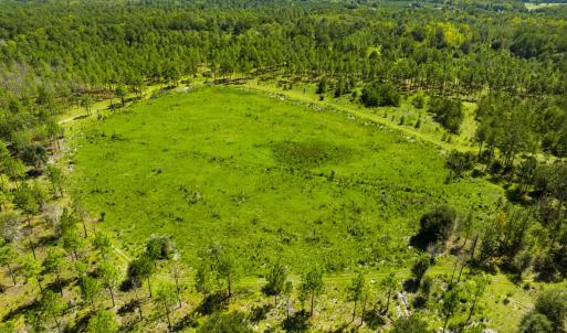 Photo #34 of 1569 DAVE PLOWDEN POND RD, Manning, SC 1,986.0 acres