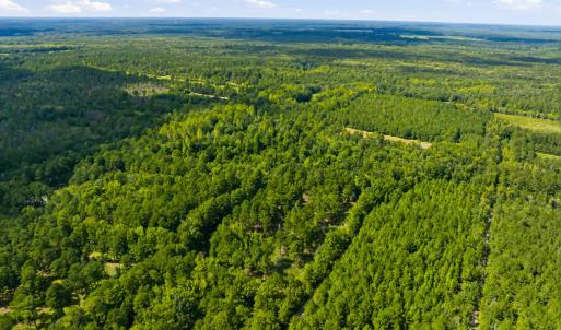 Photo #37 of 1569 DAVE PLOWDEN POND RD, Manning, SC 1,986.0 acres