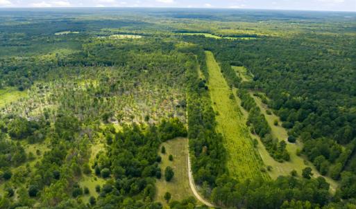 Photo #41 of 1569 DAVE PLOWDEN POND RD, Manning, SC 1,986.0 acres