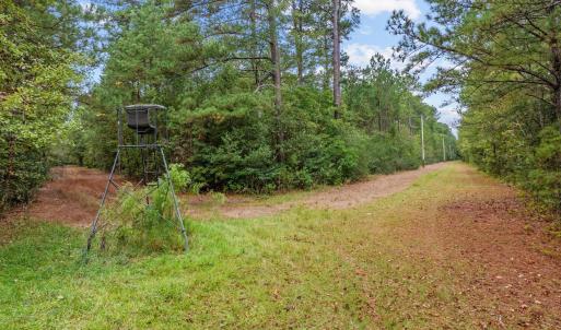 Photo #1 of TBD River Bend Rd., Loris, SC 200.0 acres
