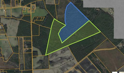 Photo #2 of TBD River Bend Rd., Loris, SC 200.0 acres