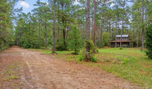 Photo #4 of TBD River Bend Rd., Loris, SC 200.0 acres