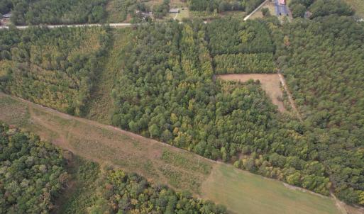 Photo #3 of 7+/- Acres Marion Church Rd., Salters, SC 7.5 acres