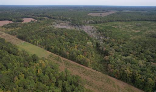 Photo #9 of 7+/- Acres Marion Church Rd., Salters, SC 7.5 acres