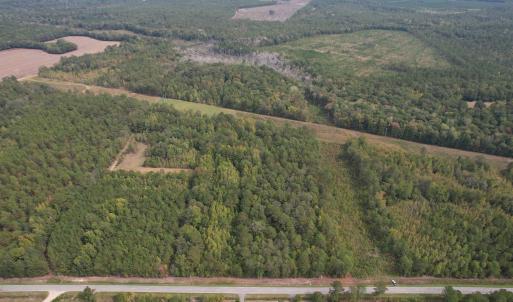 Photo #2 of 7+/- Acres Marion Church Rd., Salters, SC 7.5 acres