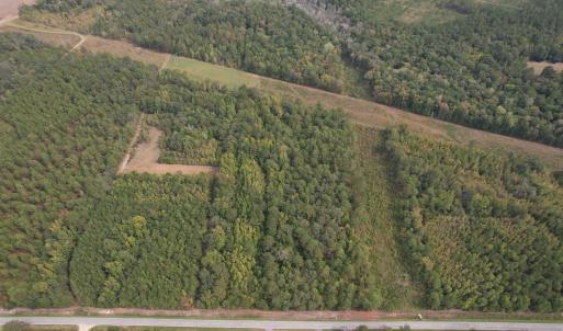 Photo #1 of 7+/- Acres Marion Church Rd., Salters, SC 7.5 acres