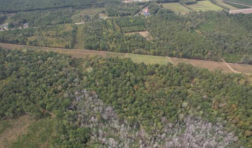 Photo #4 of 7+/- Acres Marion Church Rd., Salters, SC 7.5 acres