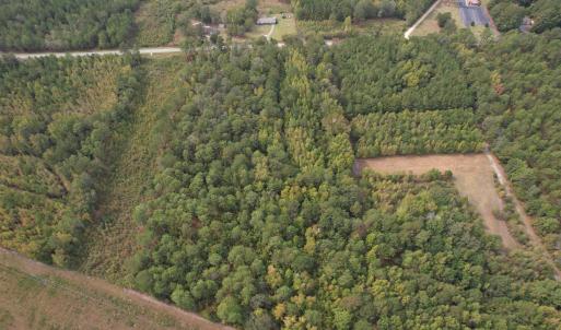 Photo #8 of 7+/- Acres Marion Church Rd., Salters, SC 7.5 acres