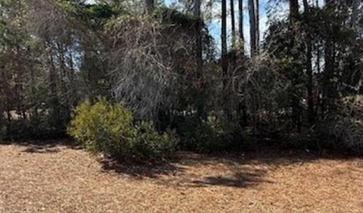 Photo #4 of 2001 Spring Valley Ct., Loris, SC 0.3 acres