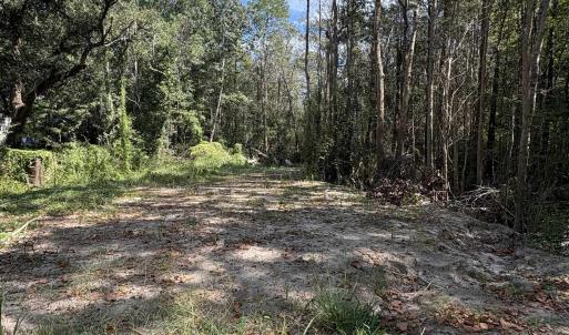 Photo #4 of TBD Waccamaw Lake Dr., Conway, SC 0.3 acres