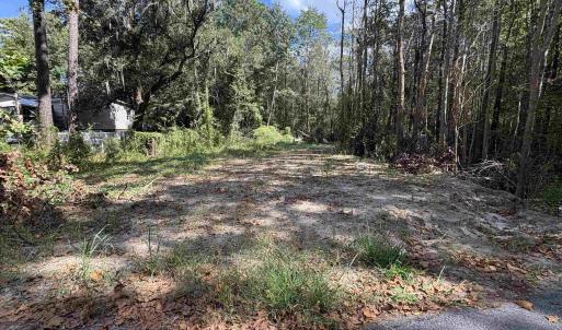 Photo #2 of TBD Waccamaw Lake Dr., Conway, SC 0.3 acres