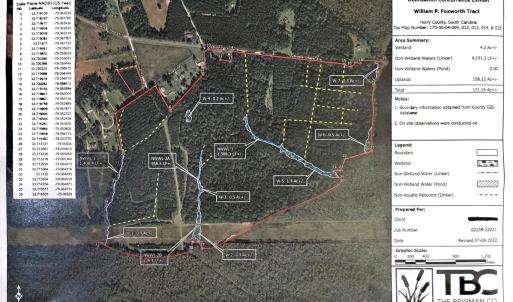 Photo #4 of TBD Old Bucksville Rd., Conway, SC 160.0 acres